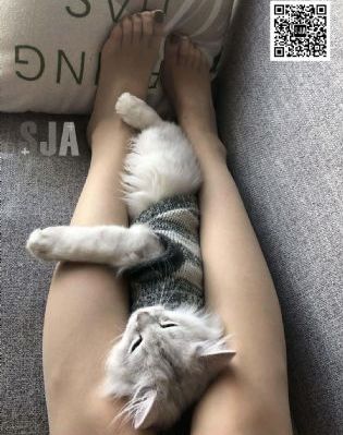 国产中年熟妇_720免费播放
